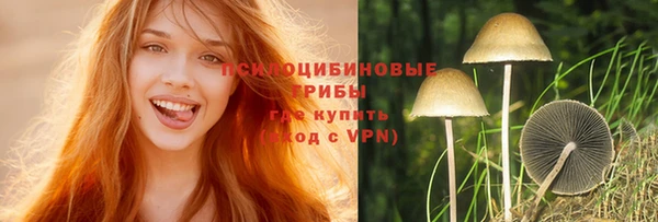 твердый Богородицк