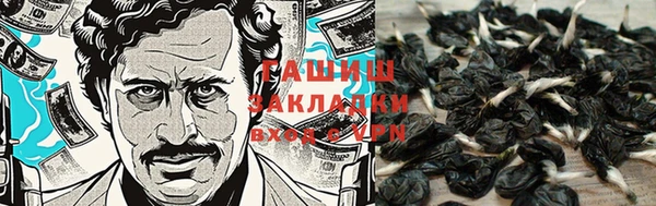 молекула духа Баксан