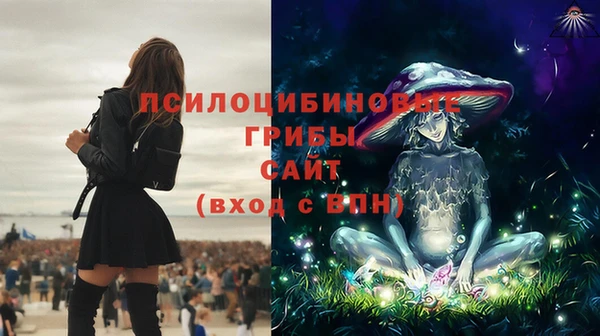 винт Богданович