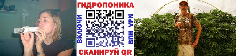 где купить наркоту Олёкминск Каннабис THC 21%